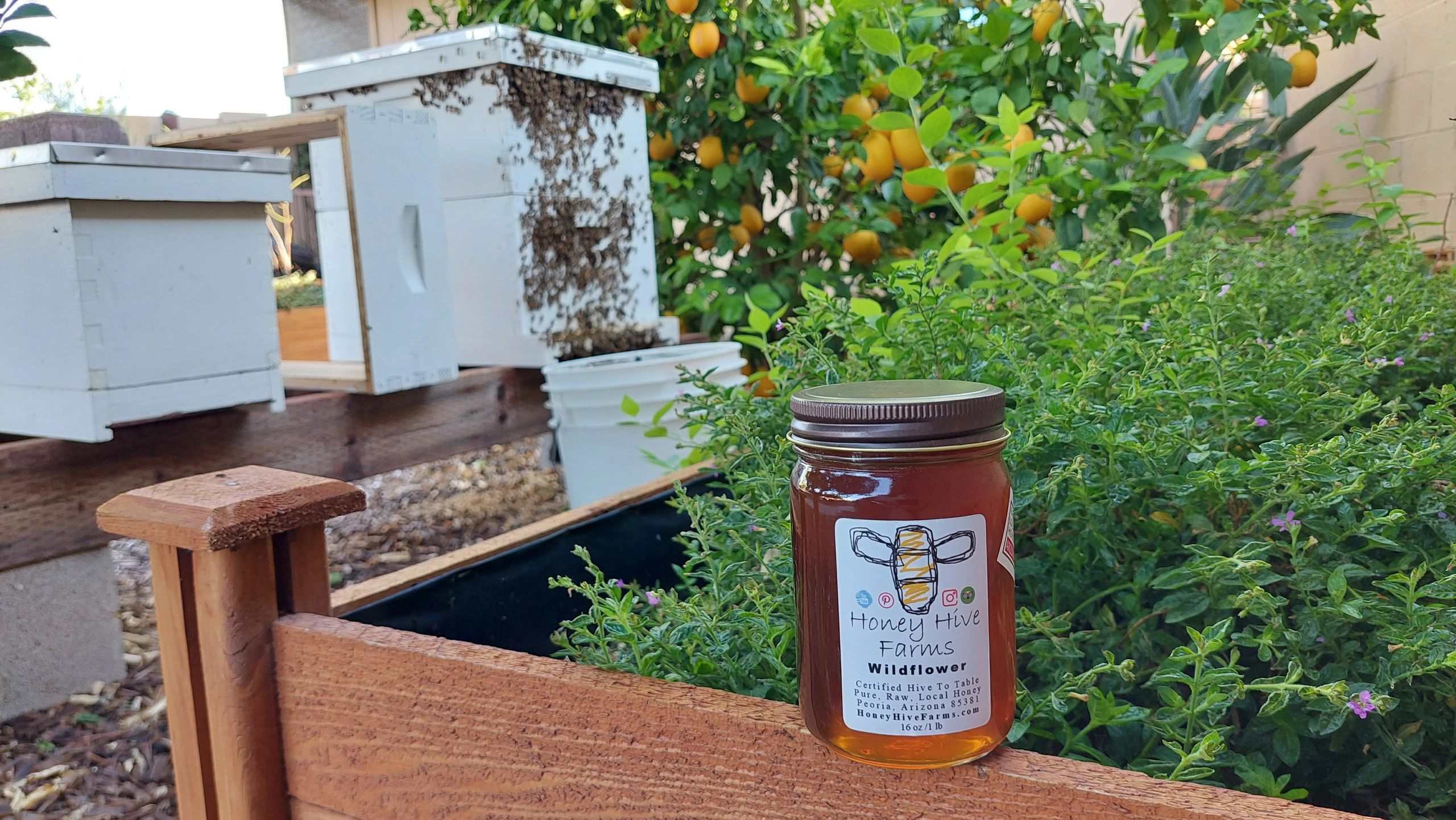 Why Raw Arizona Honey Is Better: The Truth About Real / Not Real.