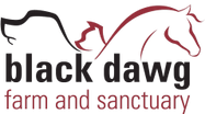 Black Dawg Farm And Sanctuary