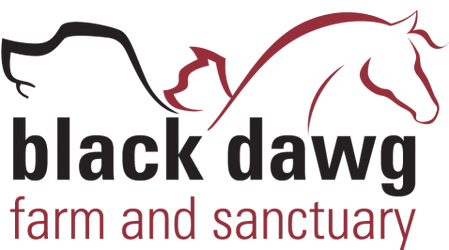 Black Dawg Farm And Sanctuary