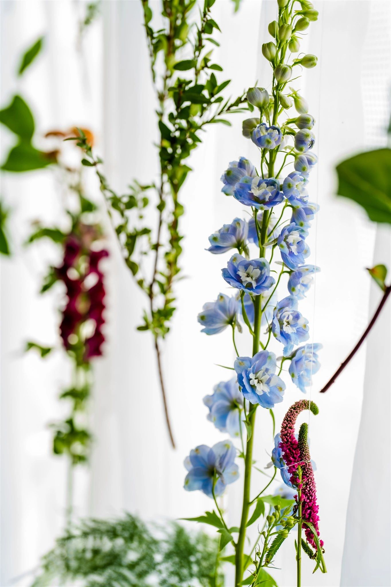 Studio Botanic Botanical Studios