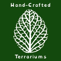 Hand-Crafted Terrariums