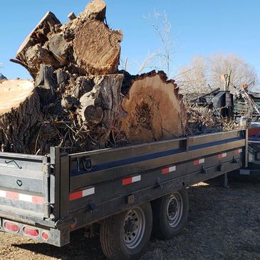 TREE REMOVAL AND HAULING 