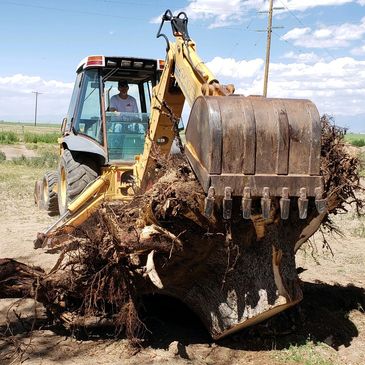 BACKHOE SERVICES STUMP REMOVAL