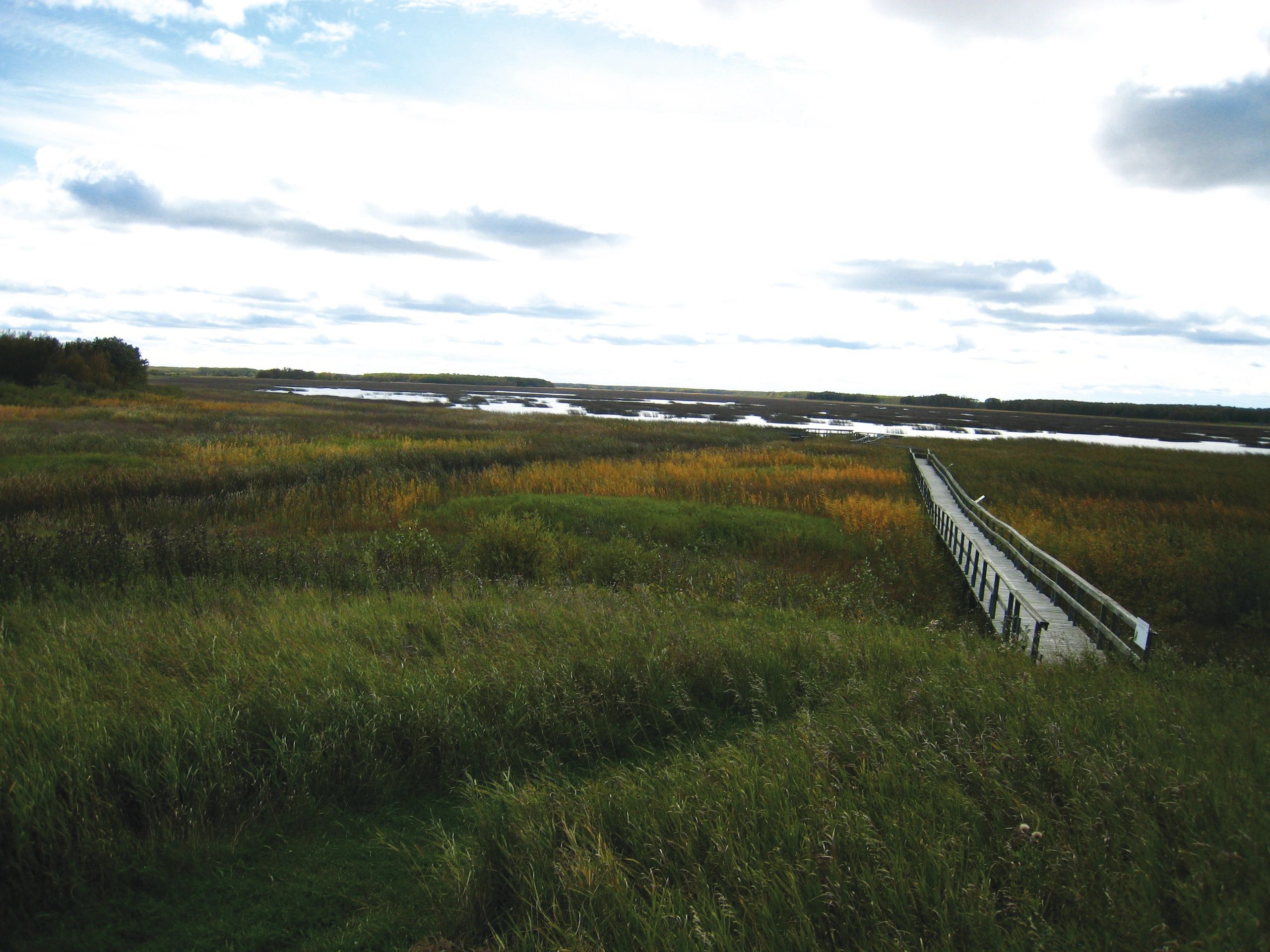 Alonsa Conservation District