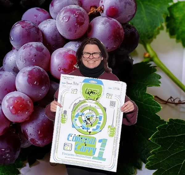 Weekday & Saturday Concealed Carry Classes near Charlotte, Concord, Kannapolis, Salisbury NC