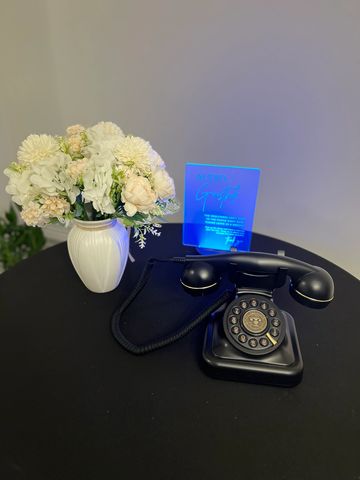 wedding audio guestbook