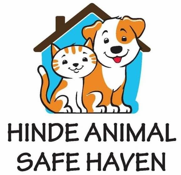 Hinde Animal Safe Haven Animal Shelter Dogs Pets