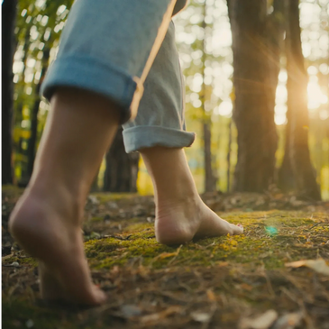 Barefoot person walking on mossy forest floor at sunset.