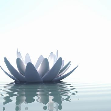 A serene white lotus flower floating on calm water with gentle ripples.