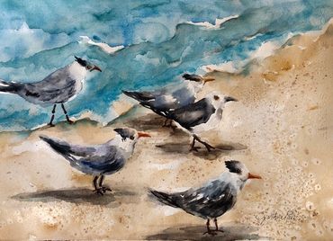 Seagulls on the beach