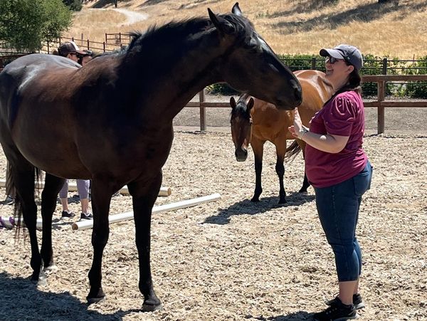 Woman connecting to a horse in a horse-guided wellness session