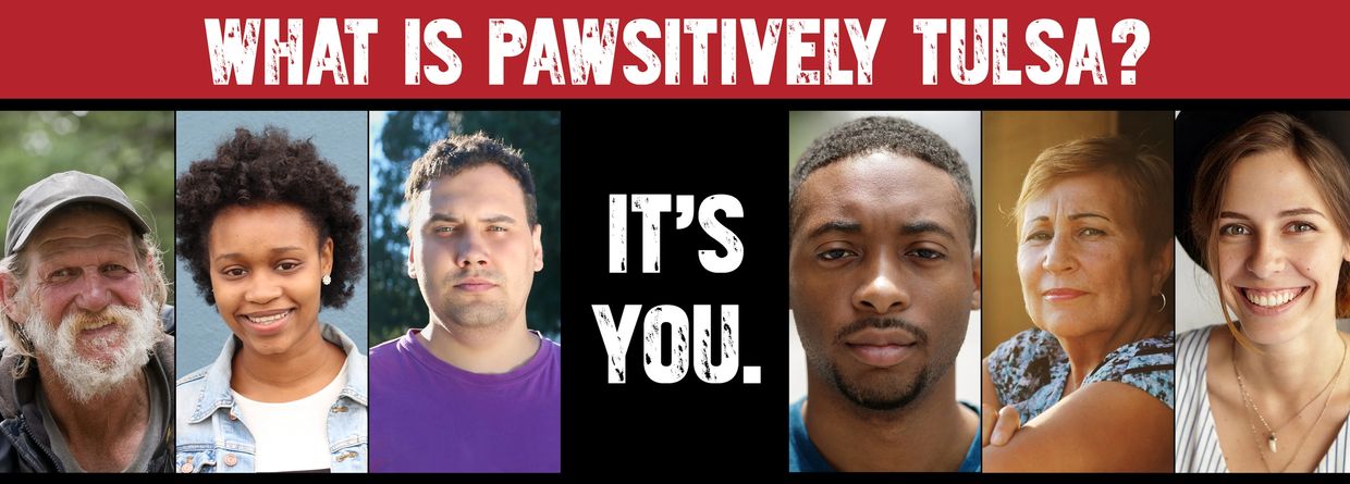 pets, dogs, cats, kittens, puppies, Tulsa, you, people, citizens, community