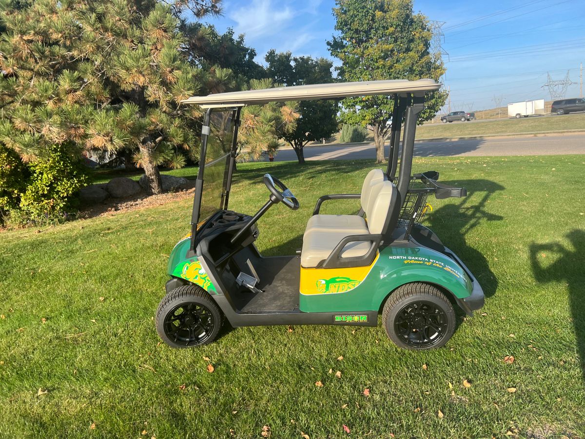 Custom Yamaha Gas Drive2 , Golf cart Golfer Bison edition