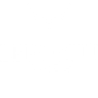 Lefortú Viagens