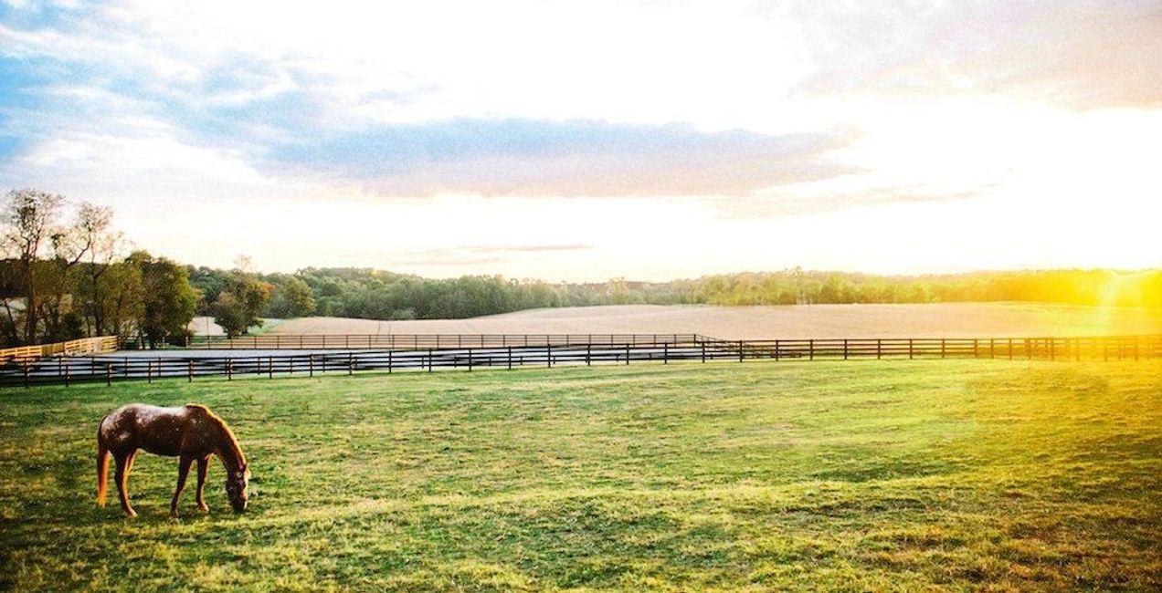 Harwood Farm Horse Boarding Woodbine, Maryland Harwood Farm