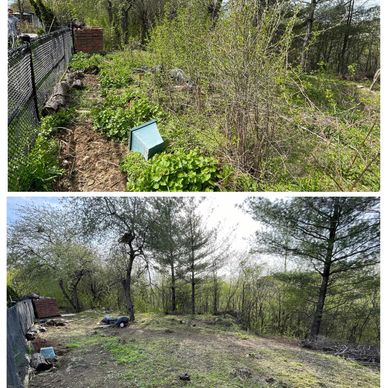 Property Cleanup