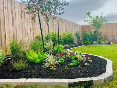 FlowerBed Mulching and Planting