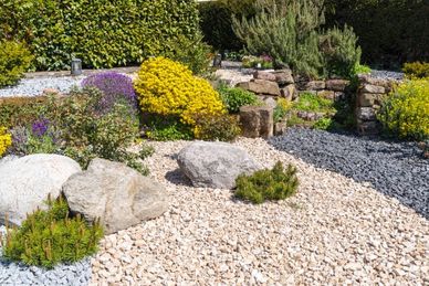 Flowerbed landscape