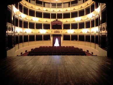 Theatres, Event Spaces, Concert Venues, Stadiums, Libraries and all other places of gathering.