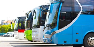 A line of four coaches parked up