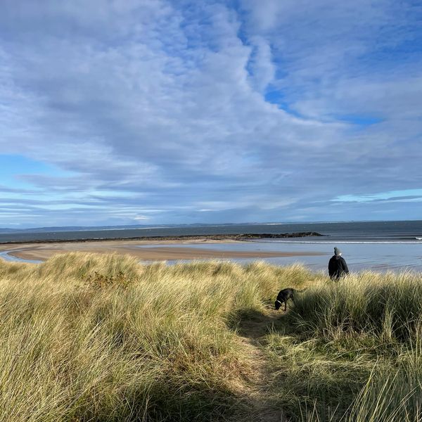 Beach scene with man thoughtfully staring out to sea in grassy sand dunes with dog playing nearby