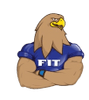 HawkFit