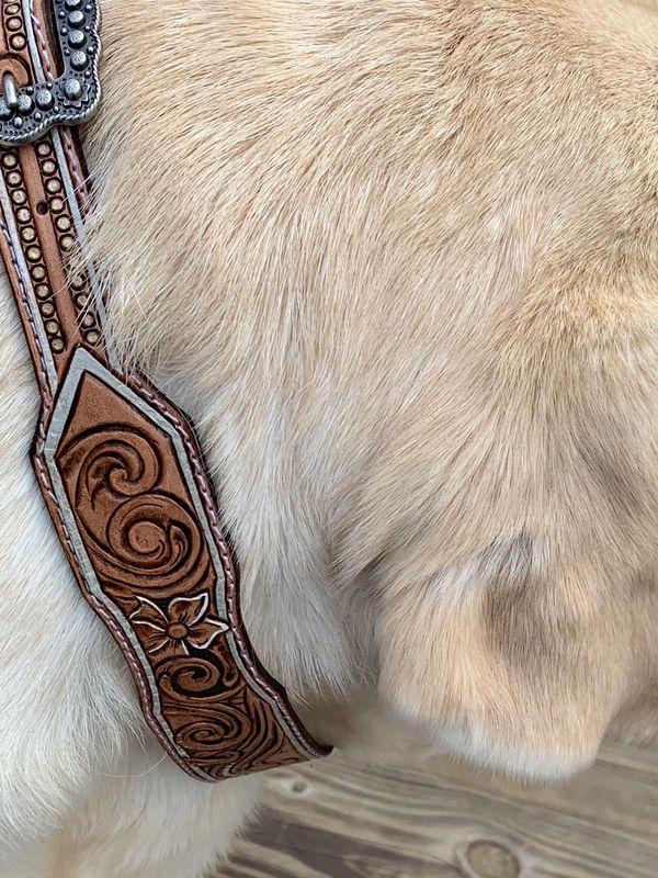Custom hand tooled leather dog collar