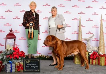 Two women with a Best of Breed New Champion dog at a dog show event.
