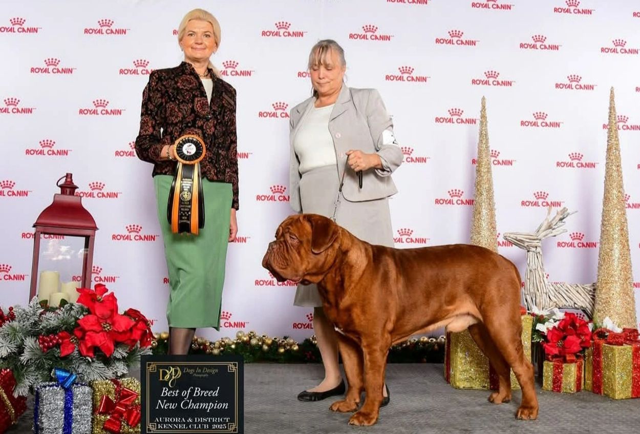 Two women with a Best of Breed New Champion dog at a dog show event.