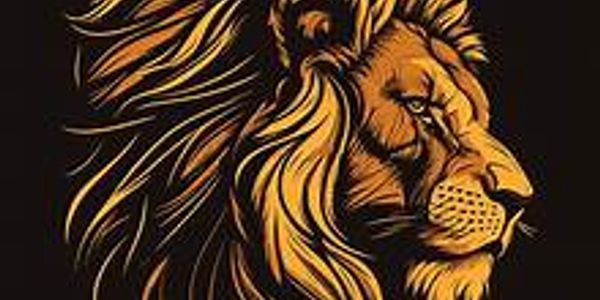 Artistic lion head illustration with flowing mane.