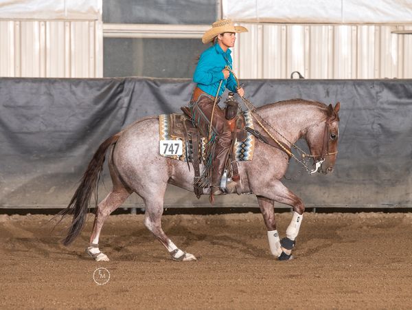 a woman riding a horse in an indoor arena