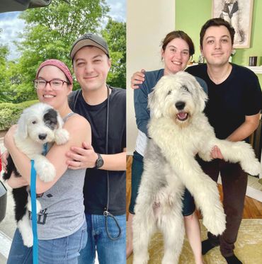 Couple with their dog, showing puppy to grown-up transformation.