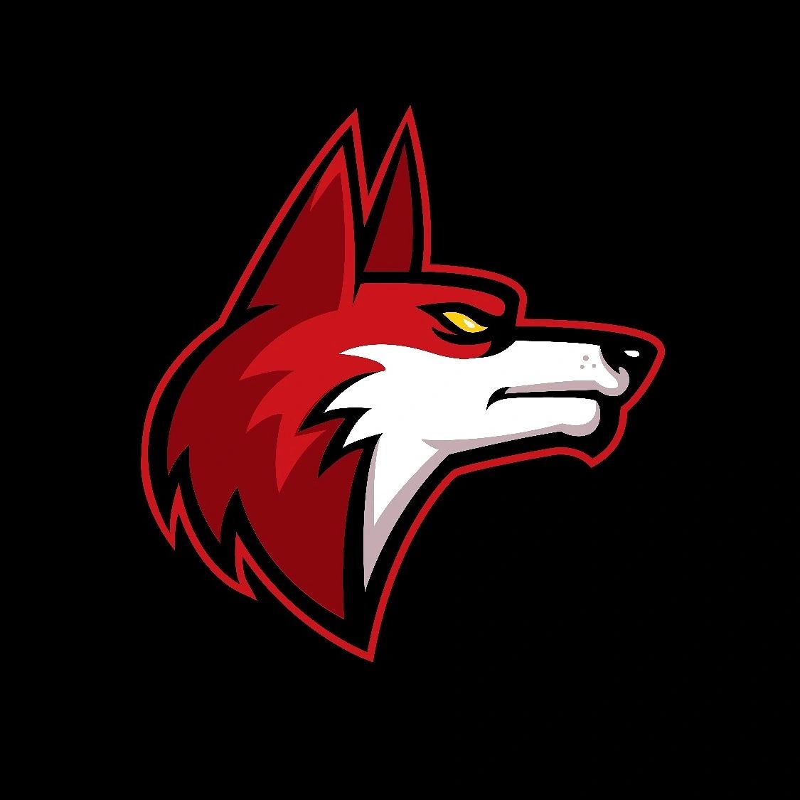 Husky Sports - Basketball - Alexandria, Virginia, image size:1125x1125