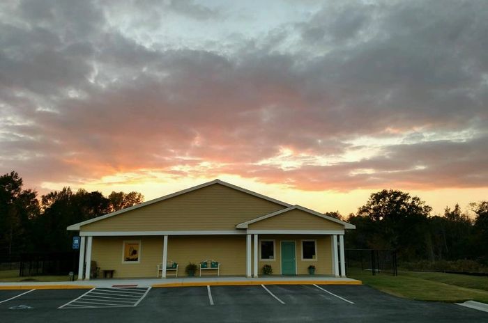 Stack of books next to pencils in a holder and a camera.