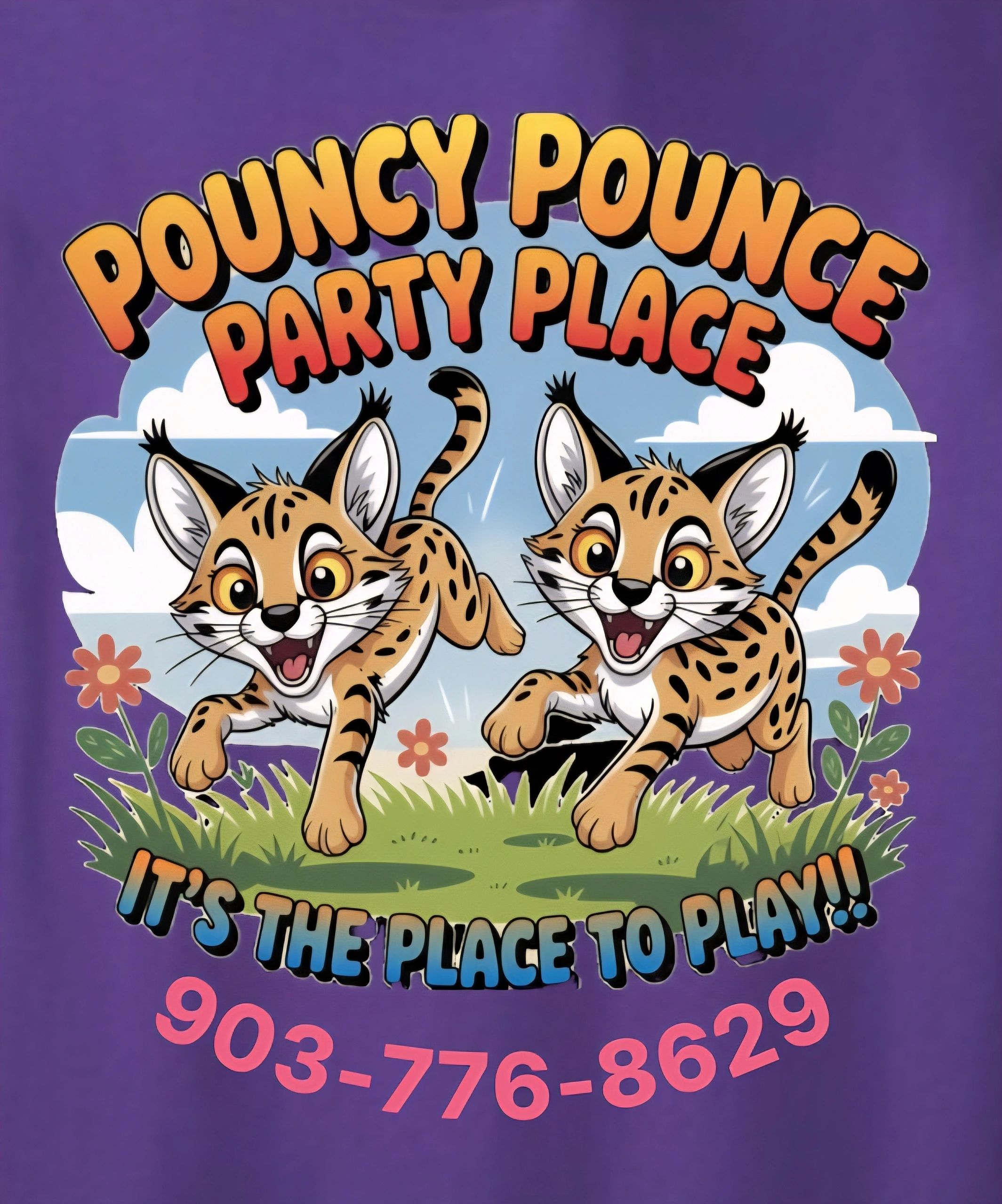 Pouncy Pounce Party Place venue photo