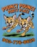 Pouncy Pounce Party Place 