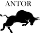 ANTORCOMPANY.NET