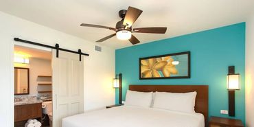 Modern bedroom with teal accent wall and ceiling fan.