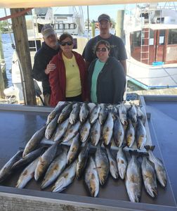 Inshore Fishing Orange Beach Alabama.  Inshore fishing Gulf Shores Alabama
Speckled trout fishing