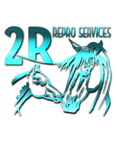 Equine reproduction services 