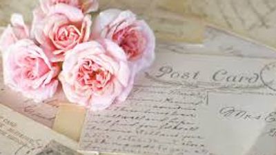 Pink roses resting on vintage postcards with cursive handwriting.