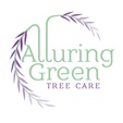 Alluringgreenllc