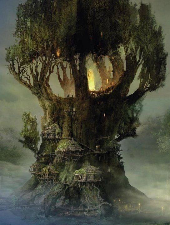 A giant tree with homes