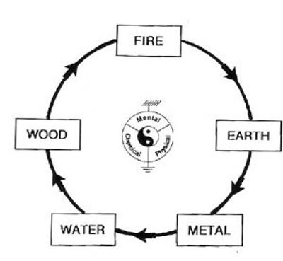 Systematic Kinesiology