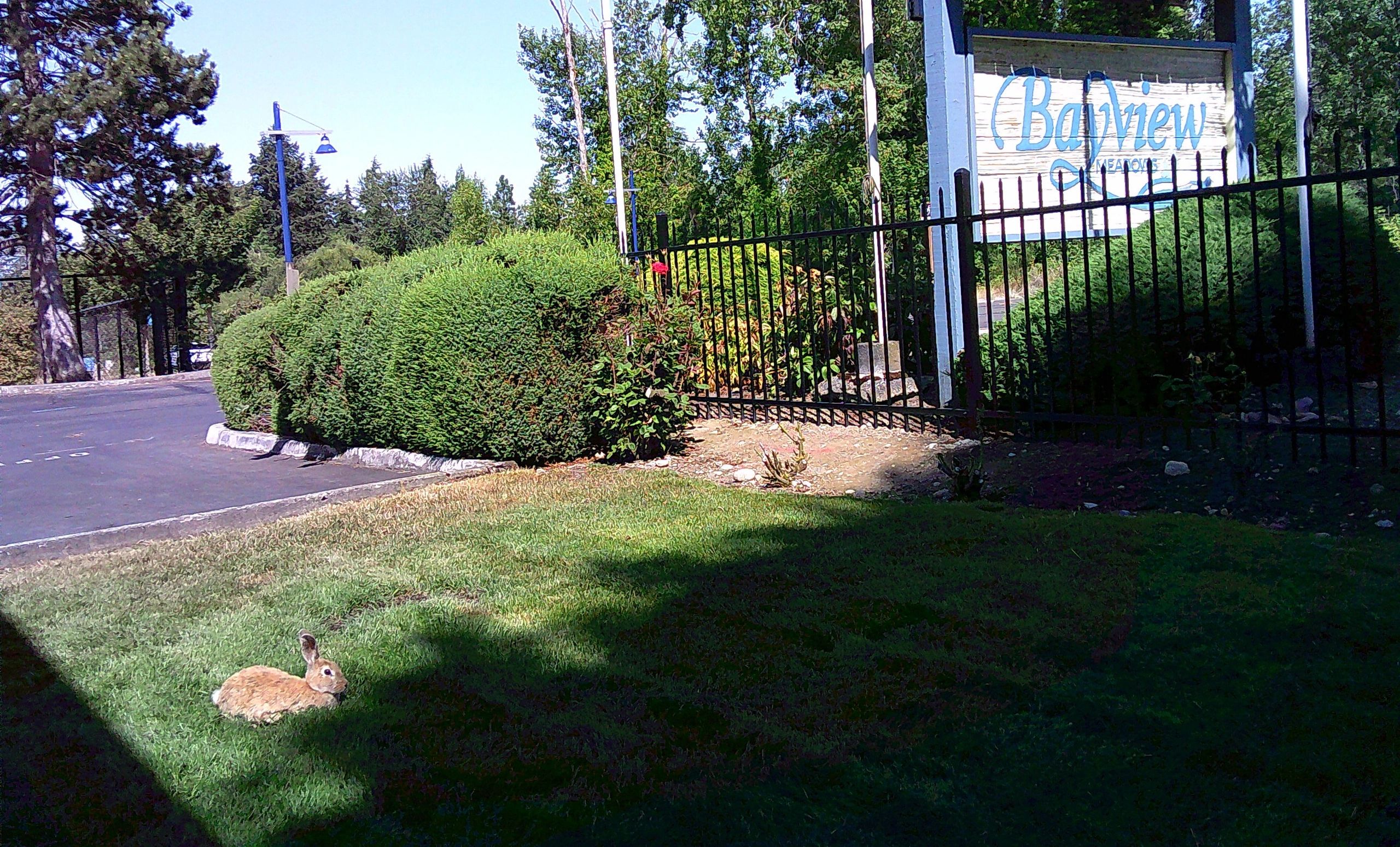 Spacious 1 & 2 Bedroom Apartments for rent Bayview Meadows