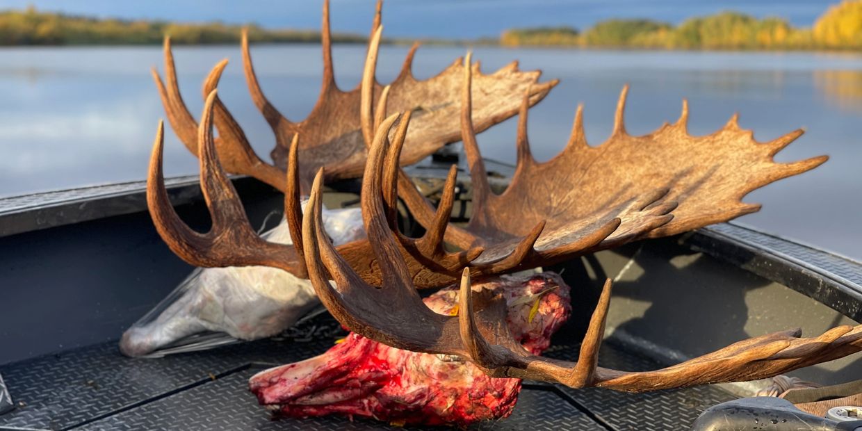 DIY Moose Hunts
