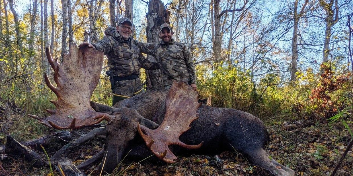 Guided Moose Hunts
