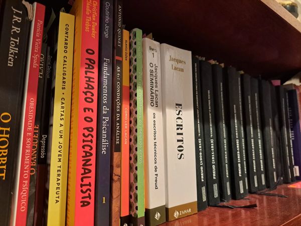 Livros de psicologia, psicanálise e saúde mental dispostos em uma estante