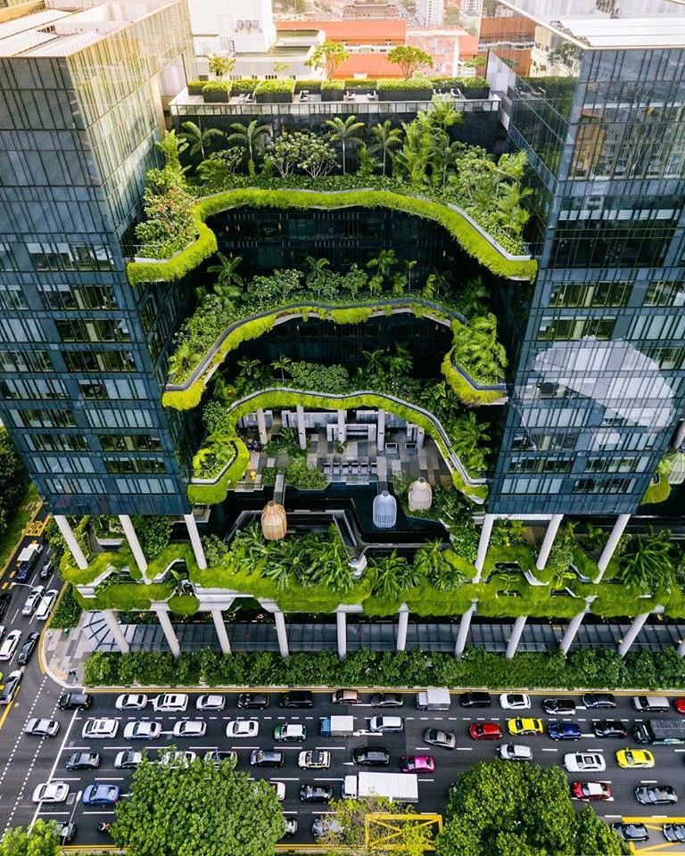 What can we learn from Singapore's Green City?