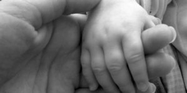 paternity parentage child custody visitation parenting plan child support